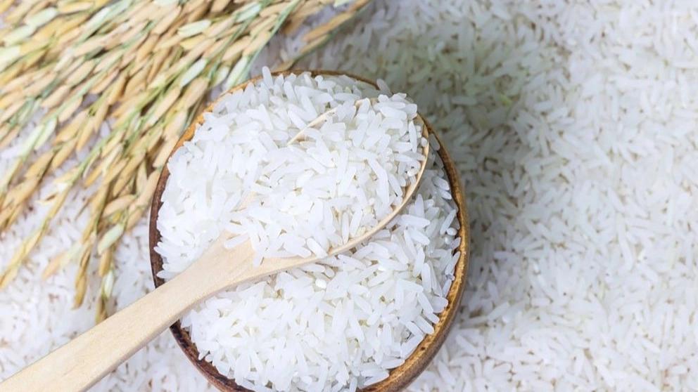 Examining types of Iranian rice in terms of appearance