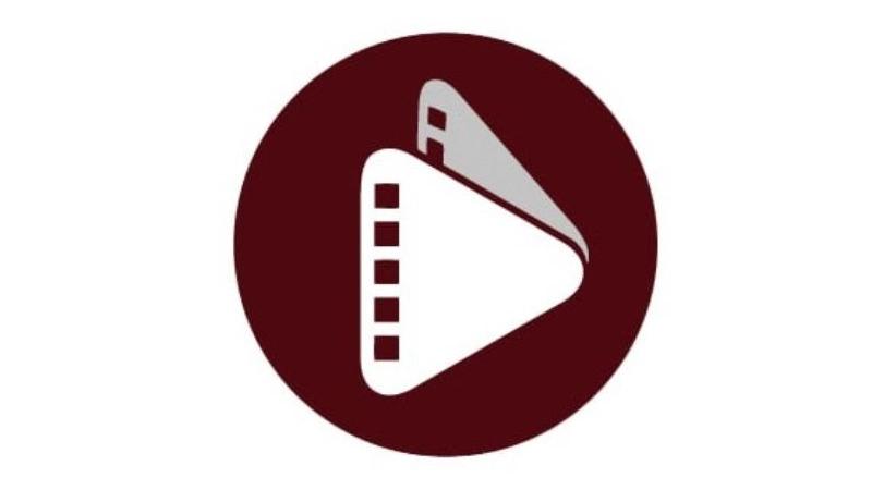 الفيديو