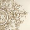 Gilma Plaster, production and distribution of prefabricated plaster in Rasht