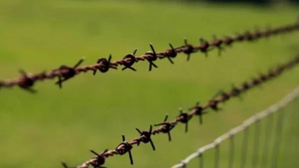 Applications of barbed wire in various industries