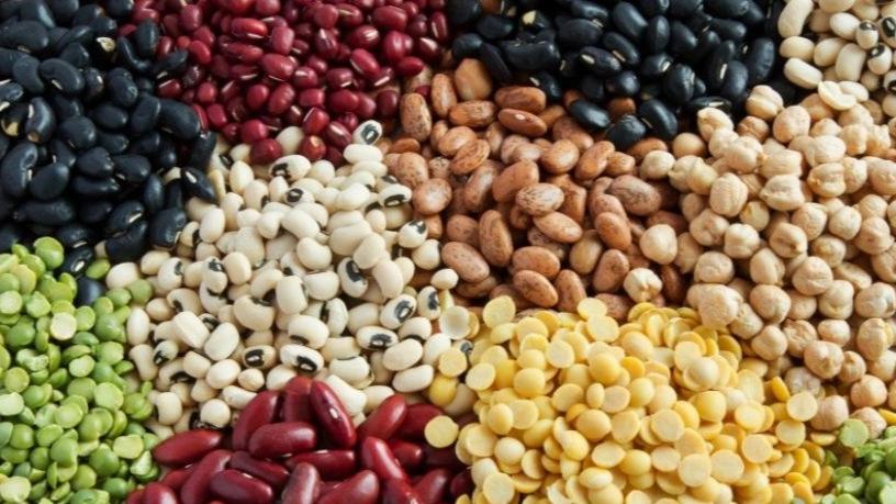 The benefits of consuming legumes