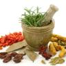 Motahari Trading, wholesale sale and export of medicinal plants in Gachsaran