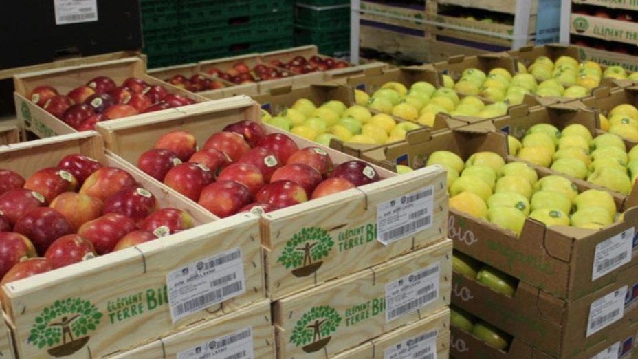 Fruit packaging for export