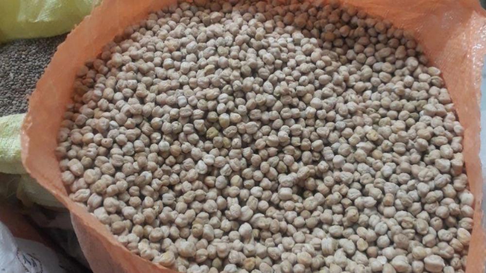 Nohut falafel toptan satışı + ihracat fiyatı