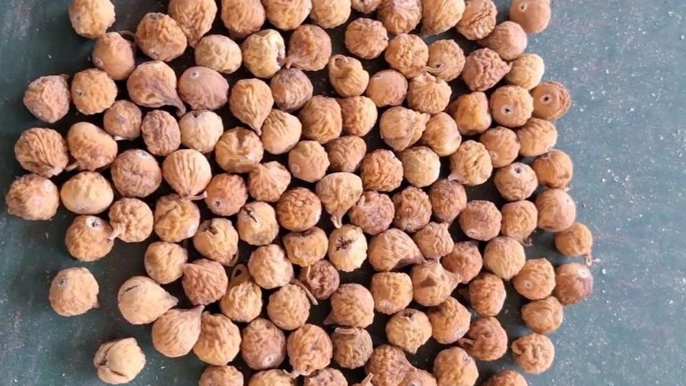 بيع التين المجفف استهبان