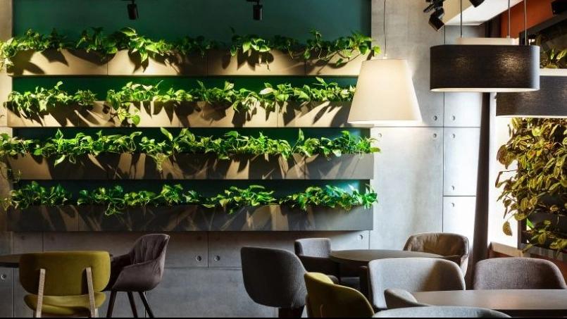 Interior design of a cafe in Shiraz