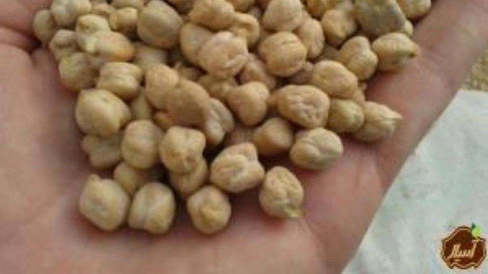 The price of chickpeas in Nur Abad and Delfan Lorestan