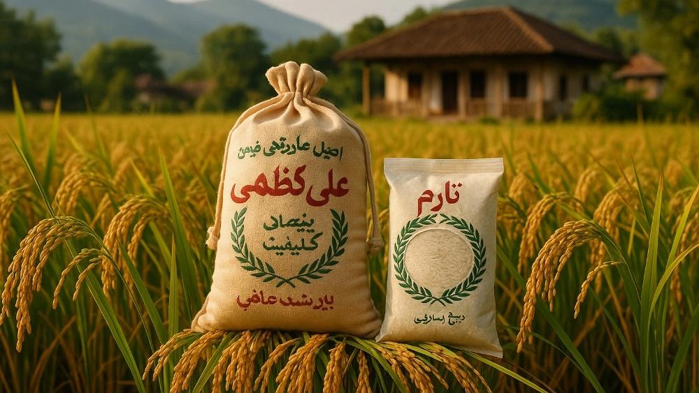 دليل الأرز الحقيقي ل Tarom و Ali Kazemi إلى Heritage Rice في Fouman