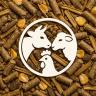 Taliban Garbic Food Trading, Import of Soybean Corn Types in Hashtgerd Karaj