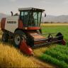 Dear Agha, Buying and Selling Rice Caenten Service to Chickpea in Kurdistan