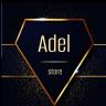 Adel Store, Hood Valves' Health Distribution and Wasters in Khamam Rasht