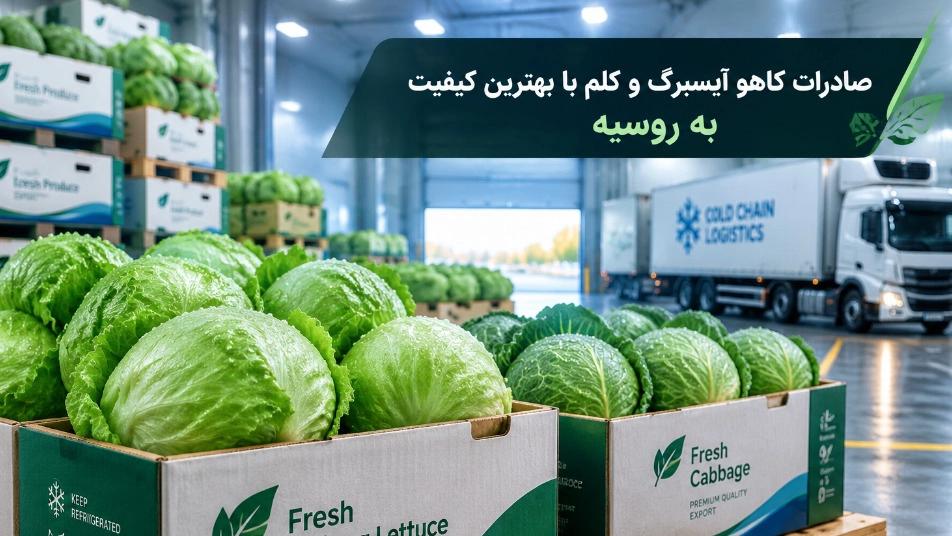 Exporting iceberg lettuce and cabbage with the best quality to Russia