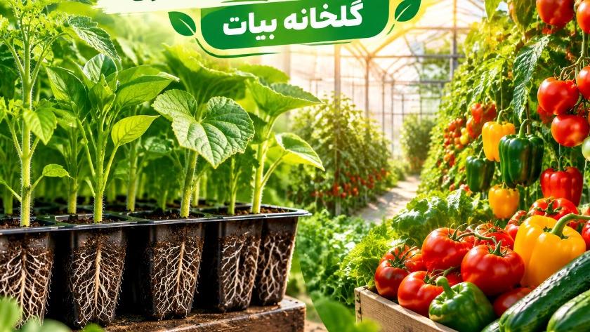 The benefits of planting vegetables and fruits and increasing productivity