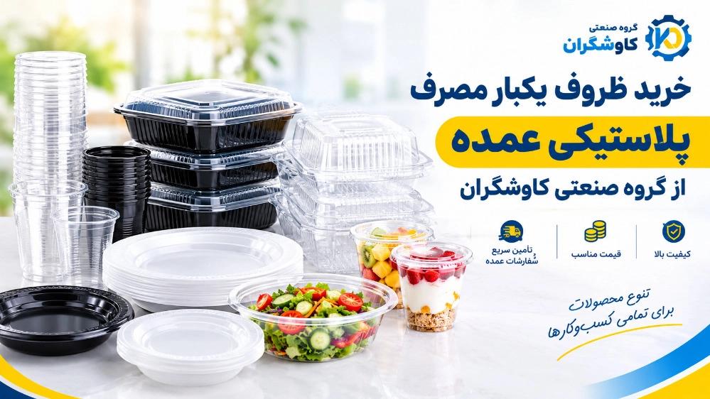 Buy bulk plastic disposable containers from Kashgaran Industrial Group
