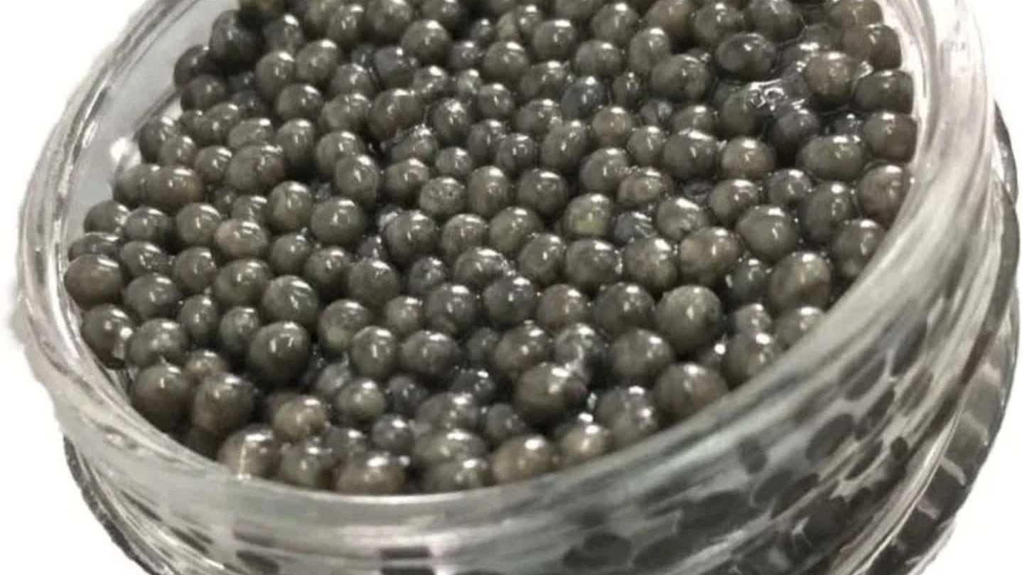 Export of salmon caviar with luxury export packaging in Khuzestan