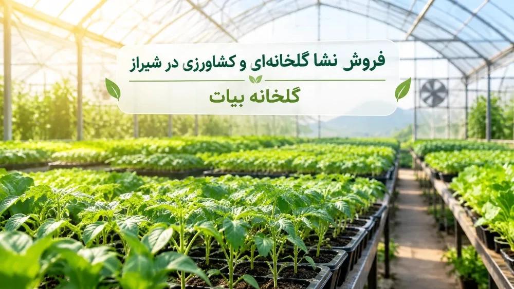 Sale of greenhouse and agricultural seedlings in Shiraz