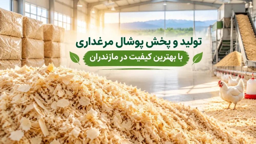 Production and distribution of best quality poultry poshal in Mazandaran
