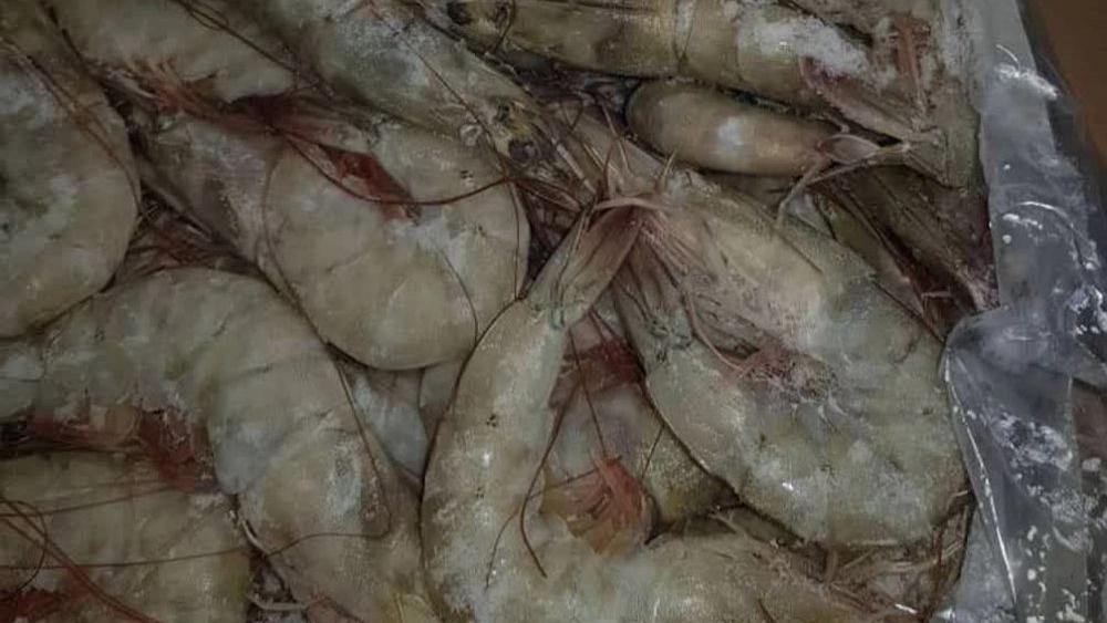 Exporting shrimp with world standards