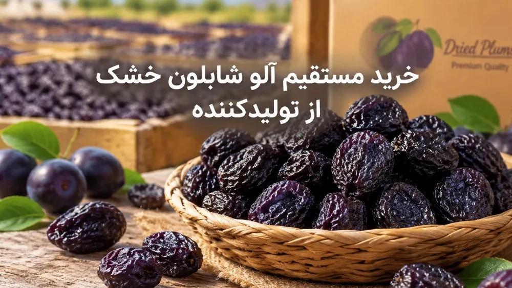 Direct purchase of dried stencil plums from the producer