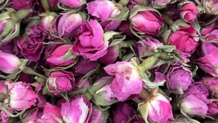 Export of organic rose buds
