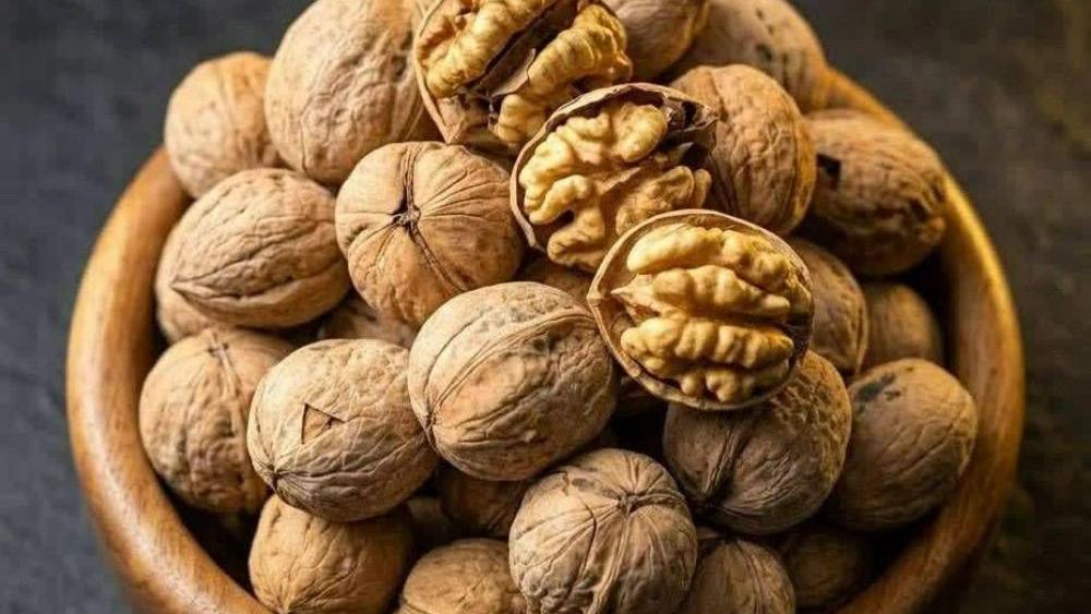 Exporting walnuts to the whole world from an Iranian producer