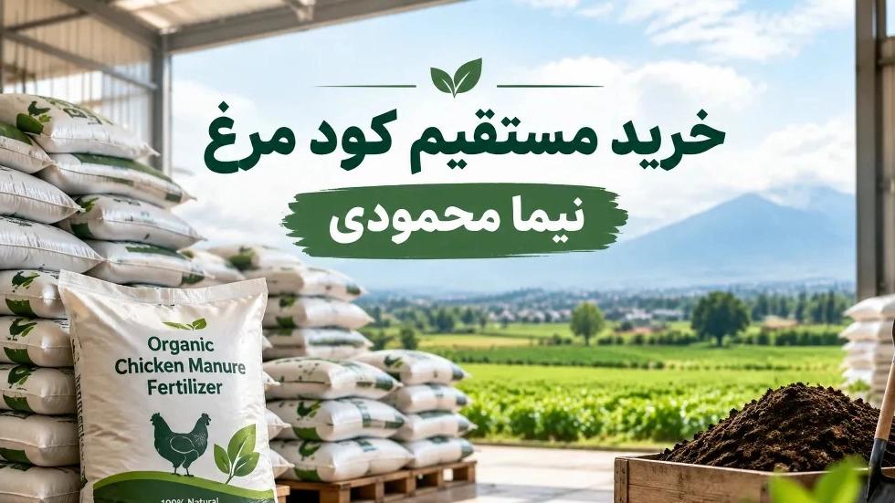 Direct purchase of chicken manure from the poultry farmer in Mazandaran at the best price