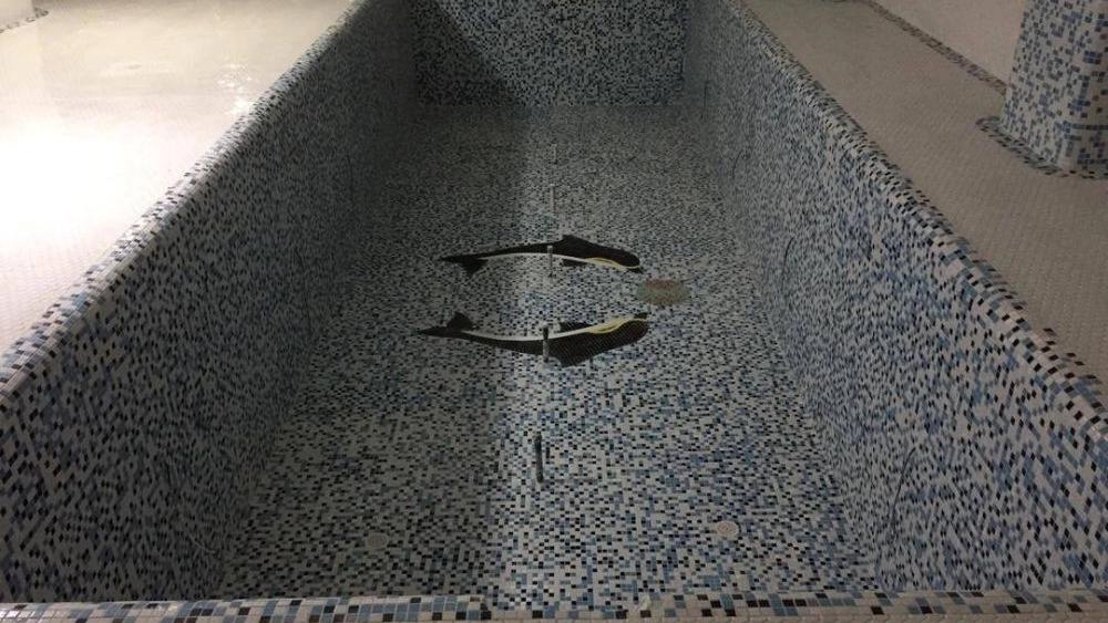 Order for the construction of a villa pool in Karaj with a special design