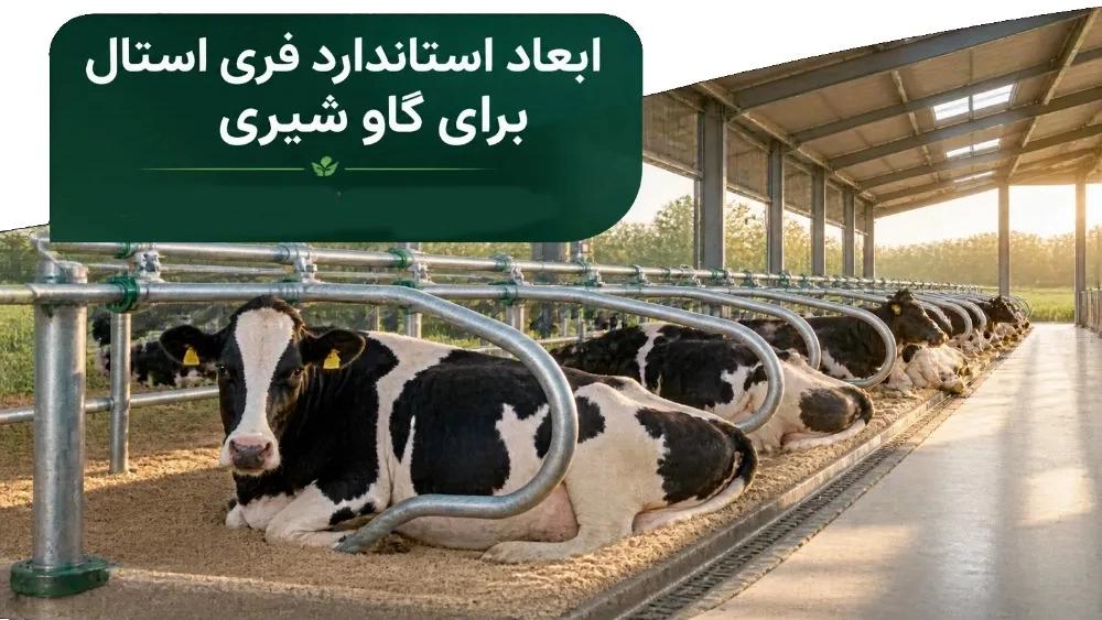 What are the standard free stall dimensions for dairy cows?