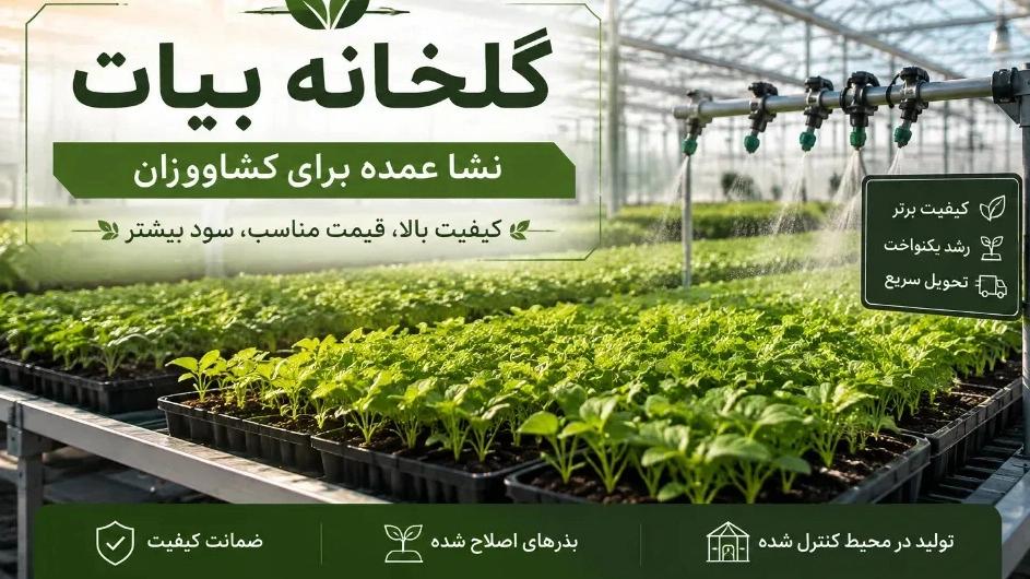 Bulk order guide for seedlings for farmers