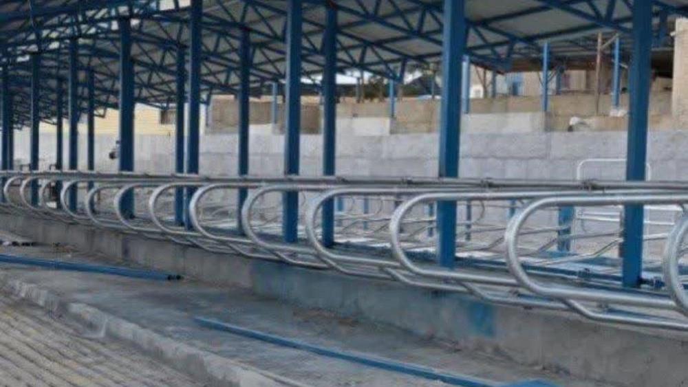 The role of free stall in improving the welfare and comfort of dairy cows