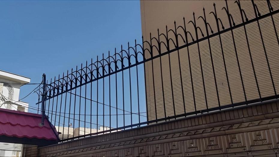 Şiraz'da geyik boynuzu korumasını makul bir fiyata satın alın