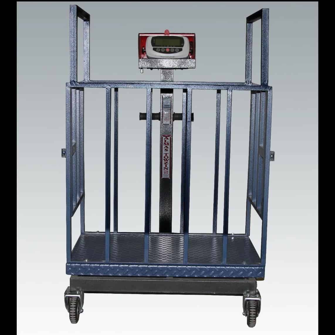 Scale AT600DW