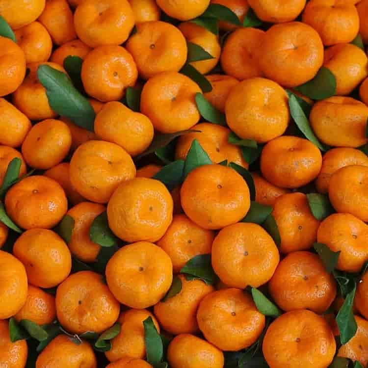 مركز مازندران اليوسفي