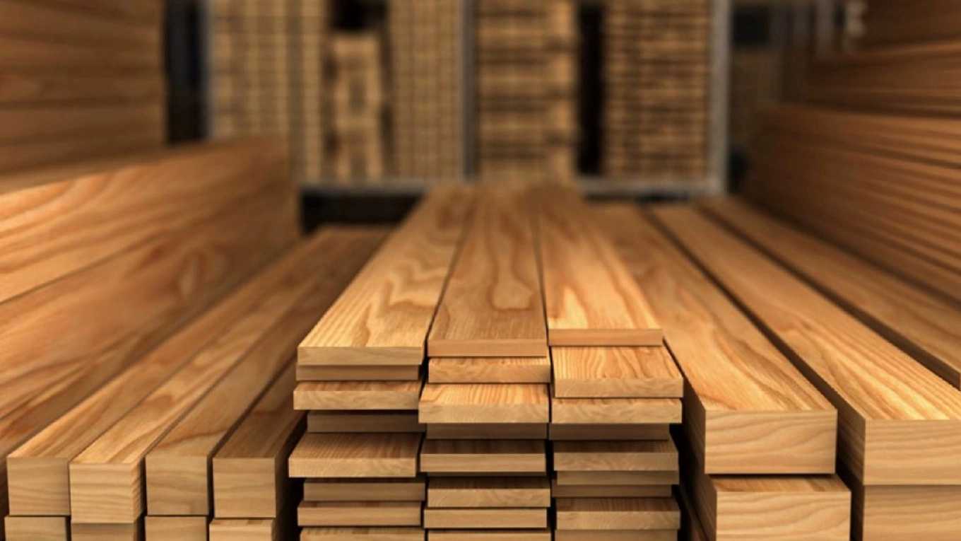 Sale of Iranian and Russian wood of alder wood industries in Mashhad