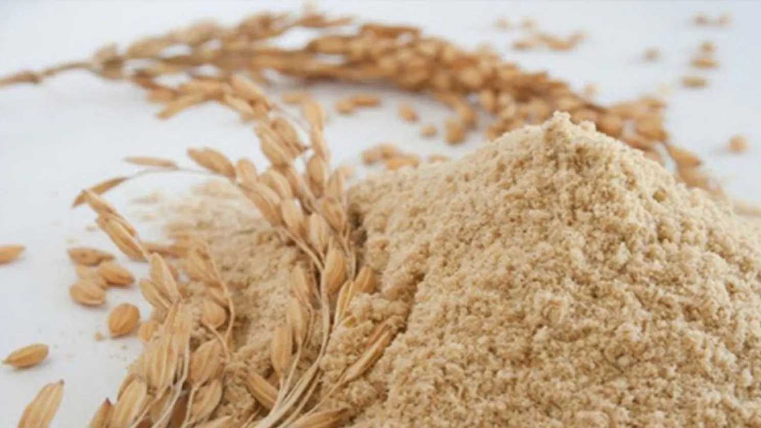 تفاوت سبوس برنج و شلتوک برنج و خواص آنها