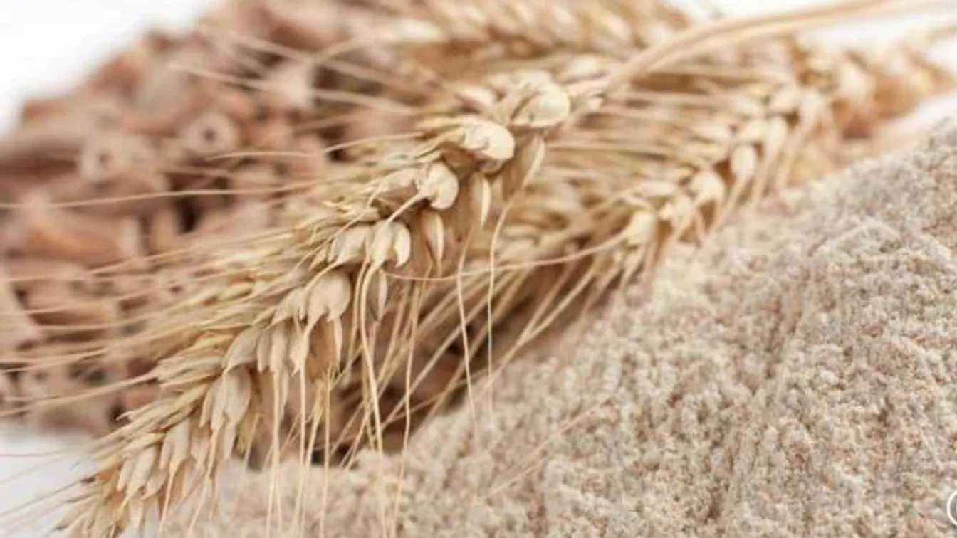 تفاوت سبوس برنج و شلتوک برنج و خواص آنها