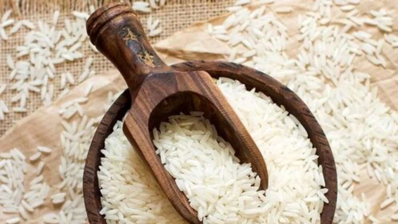 Gilan Caspian rice production