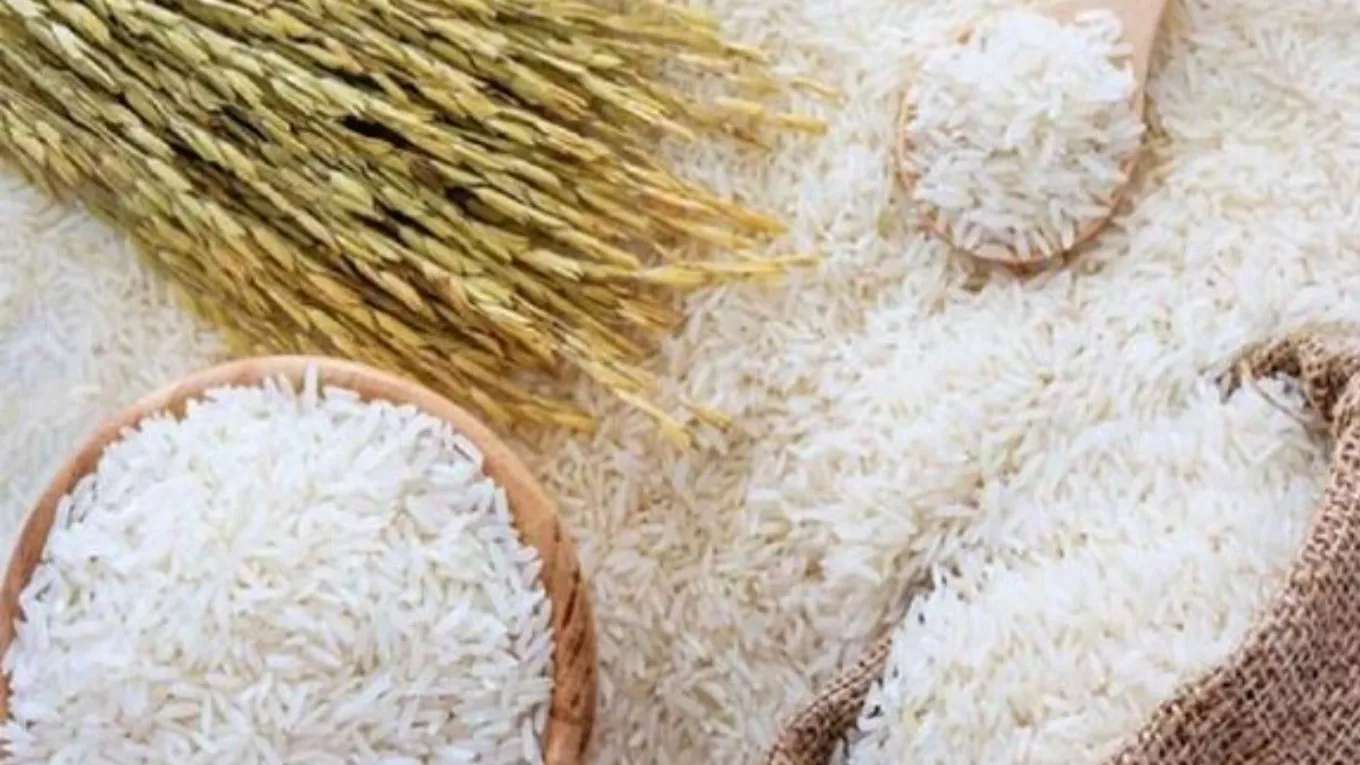 Gilan Caspian rice production