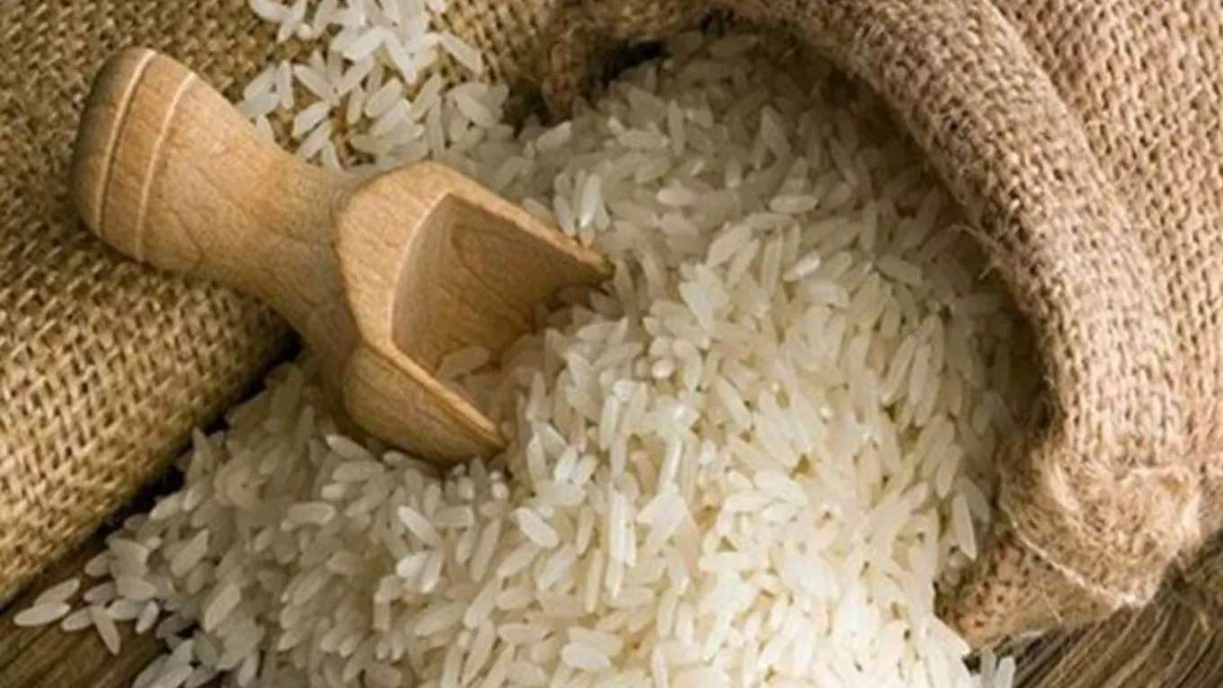 Gilan Caspian rice production