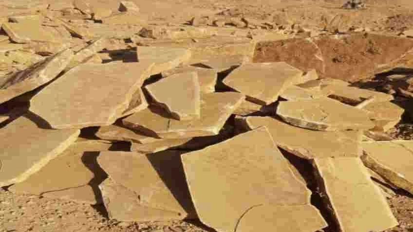 What is a camel carcass and what is its use? What is a camel carcass and what is its use?