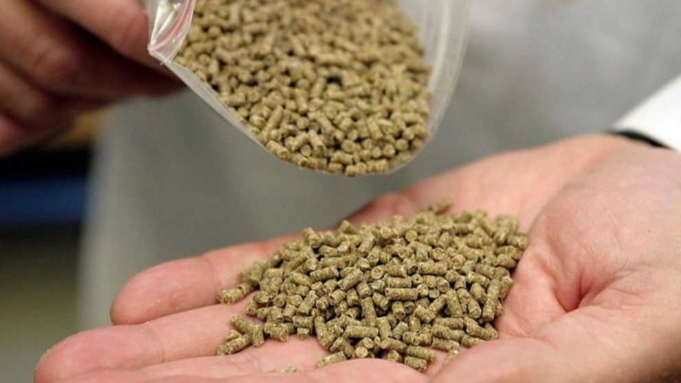 Why should we use pellet feed?