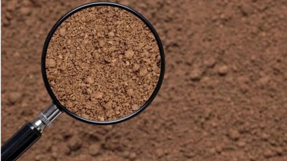 soil examination