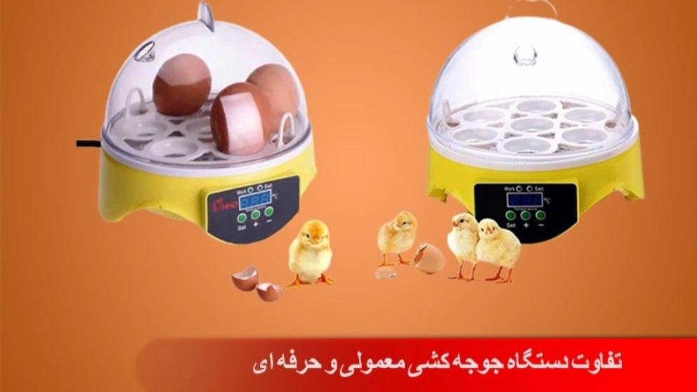 The difference between normal and professional incubators
