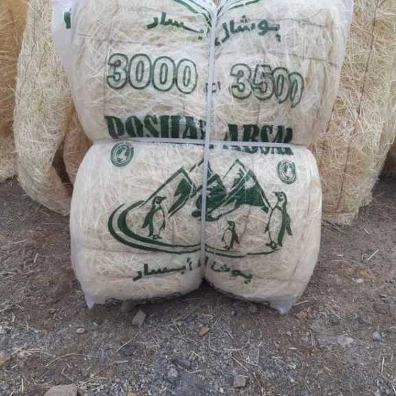 آبسار پل