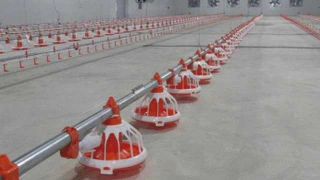معدات الدواجن والدفيئات الصناعية الحديثة في قزوين