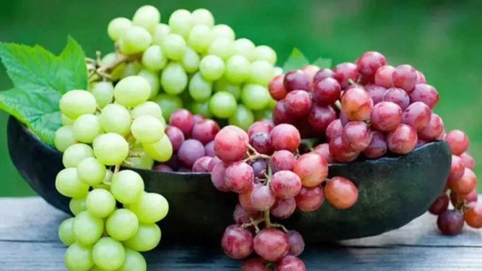 انواع میوه های تابستانی