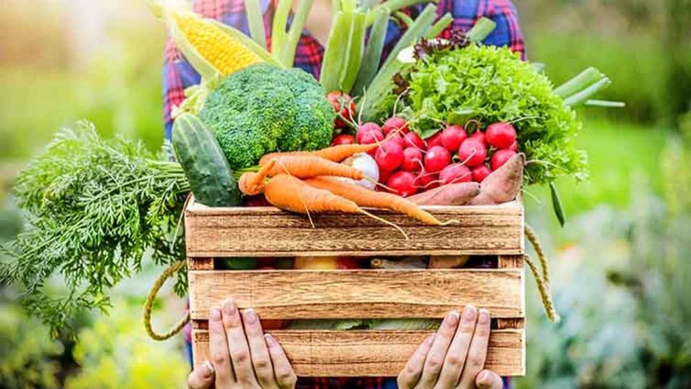 Which vegetables are good for weight loss?