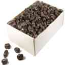Solar cold storage, date packing and export industries in Bam