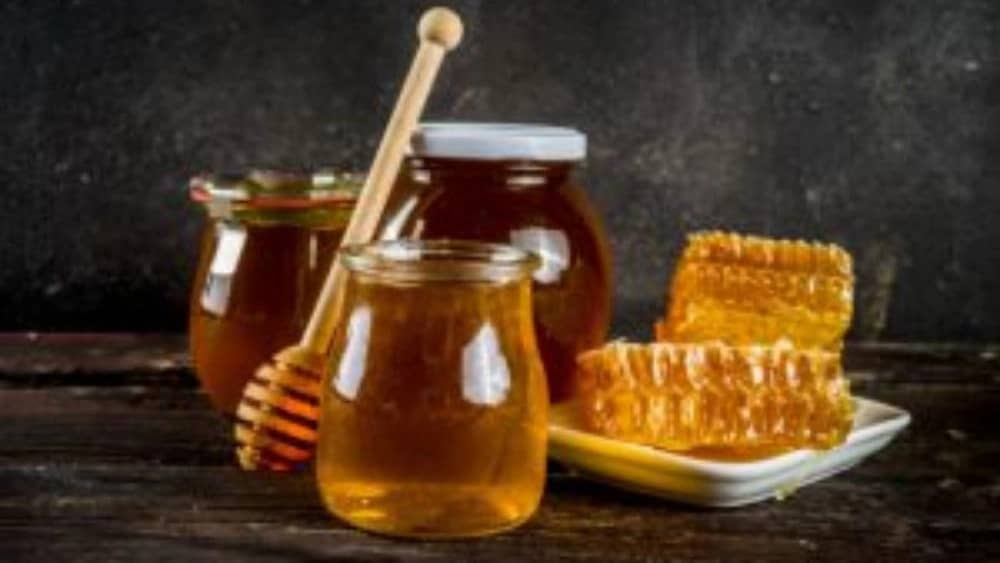 فروش عمده و صادرات عسل سیاه ارگانیک