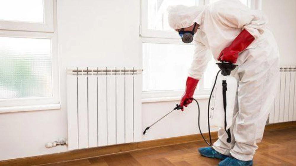 Professional spraying and pest control in the best way in Bushehr